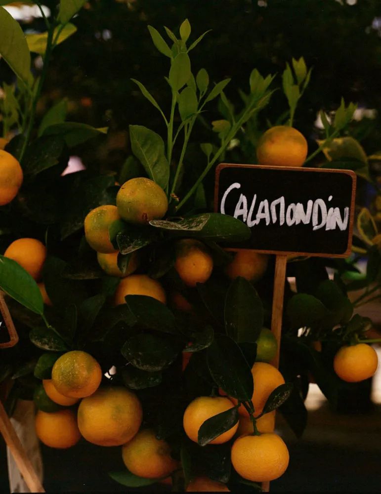 拥抱夏天……尽管她有点太过热情了