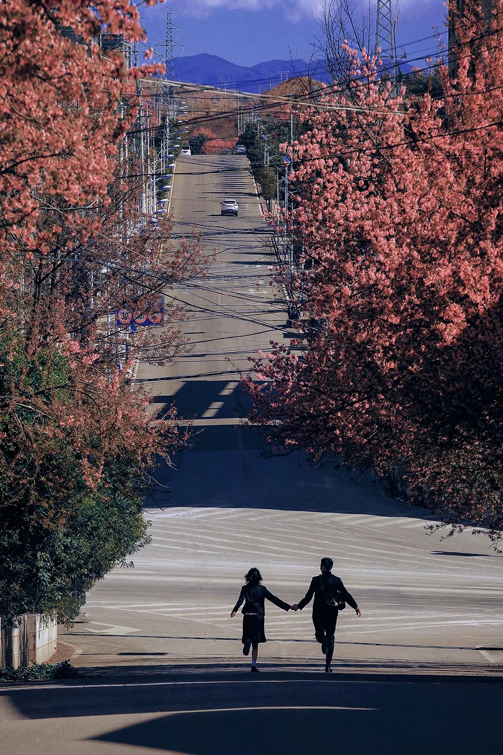 记录爱情的纯粹