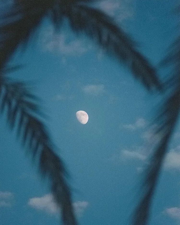 在光线里，诗意的伴随