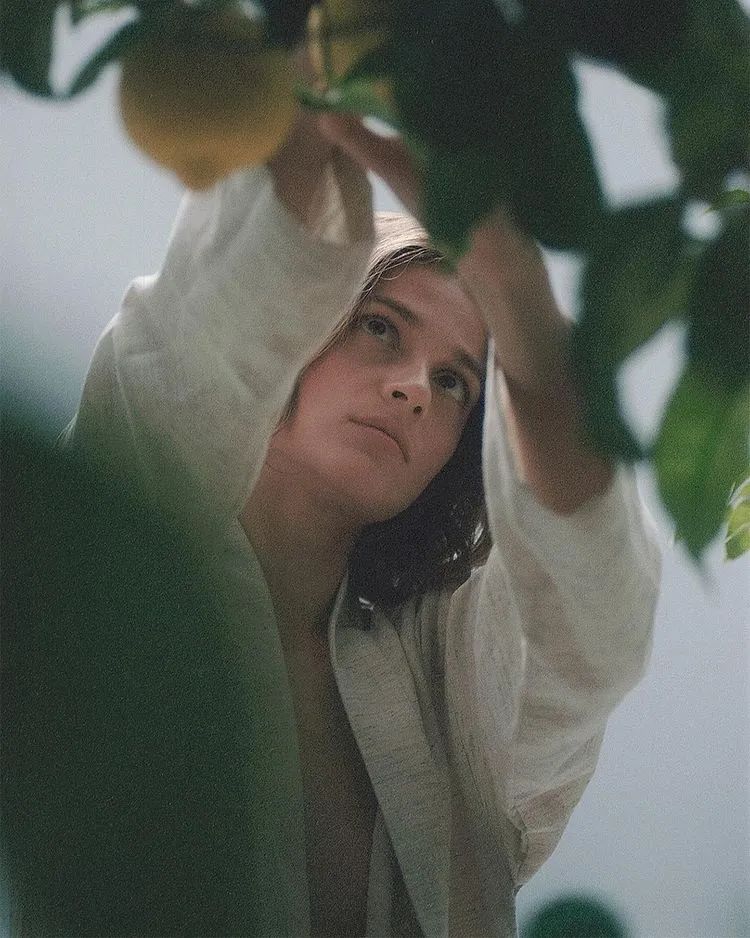 在光线里，诗意的伴随