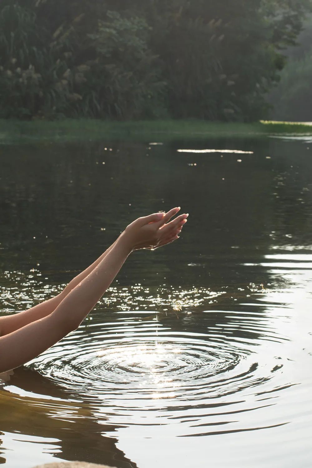 从寻觅到守候，写在夏天的散文诗