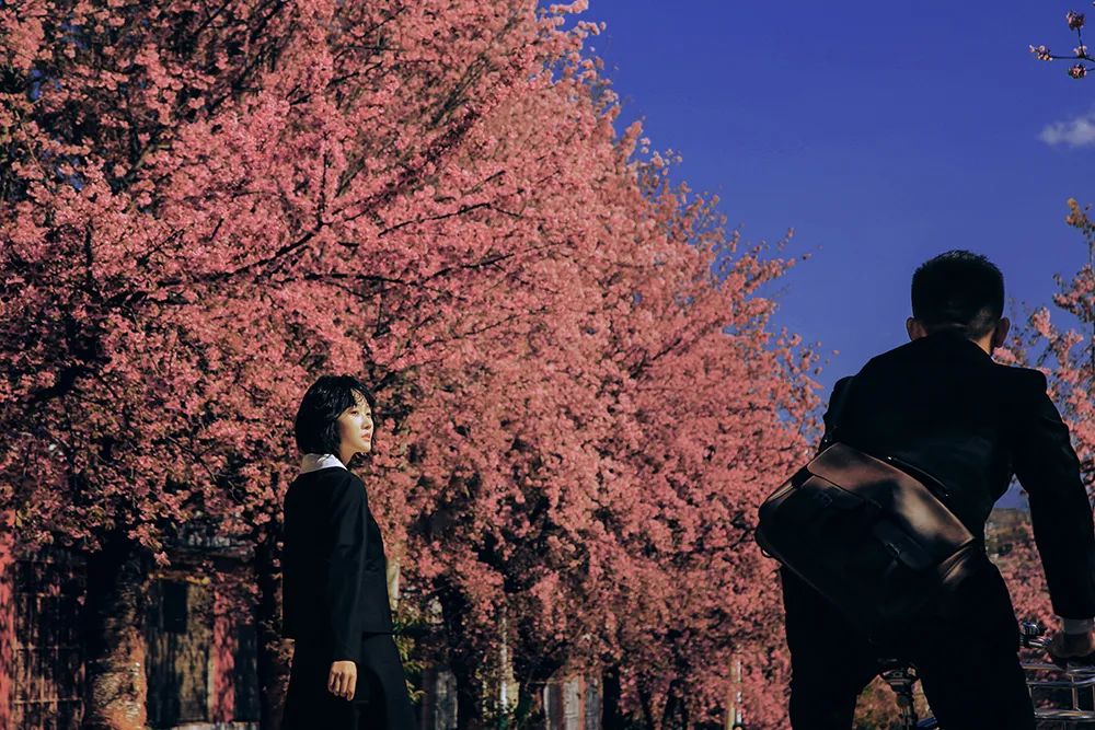 记录爱情的纯粹