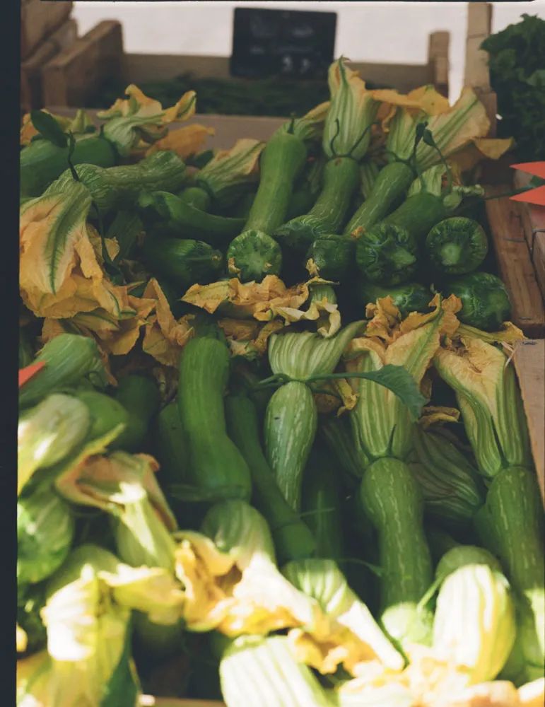 拥抱夏天……尽管她有点太过热情了