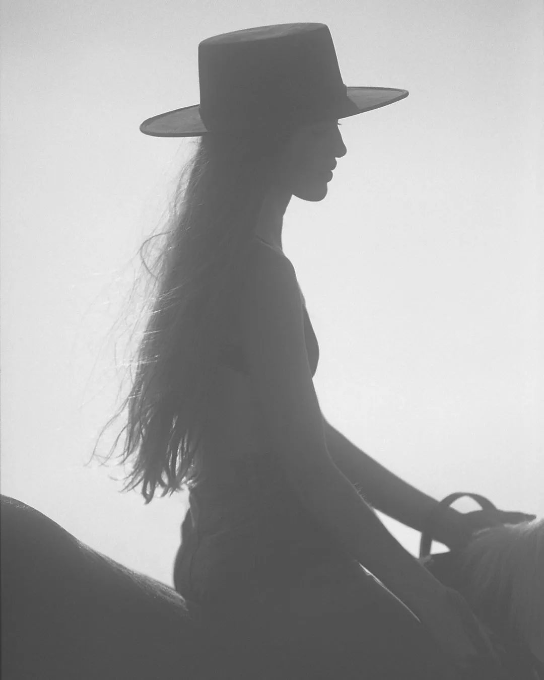 在光线里，诗意的伴随