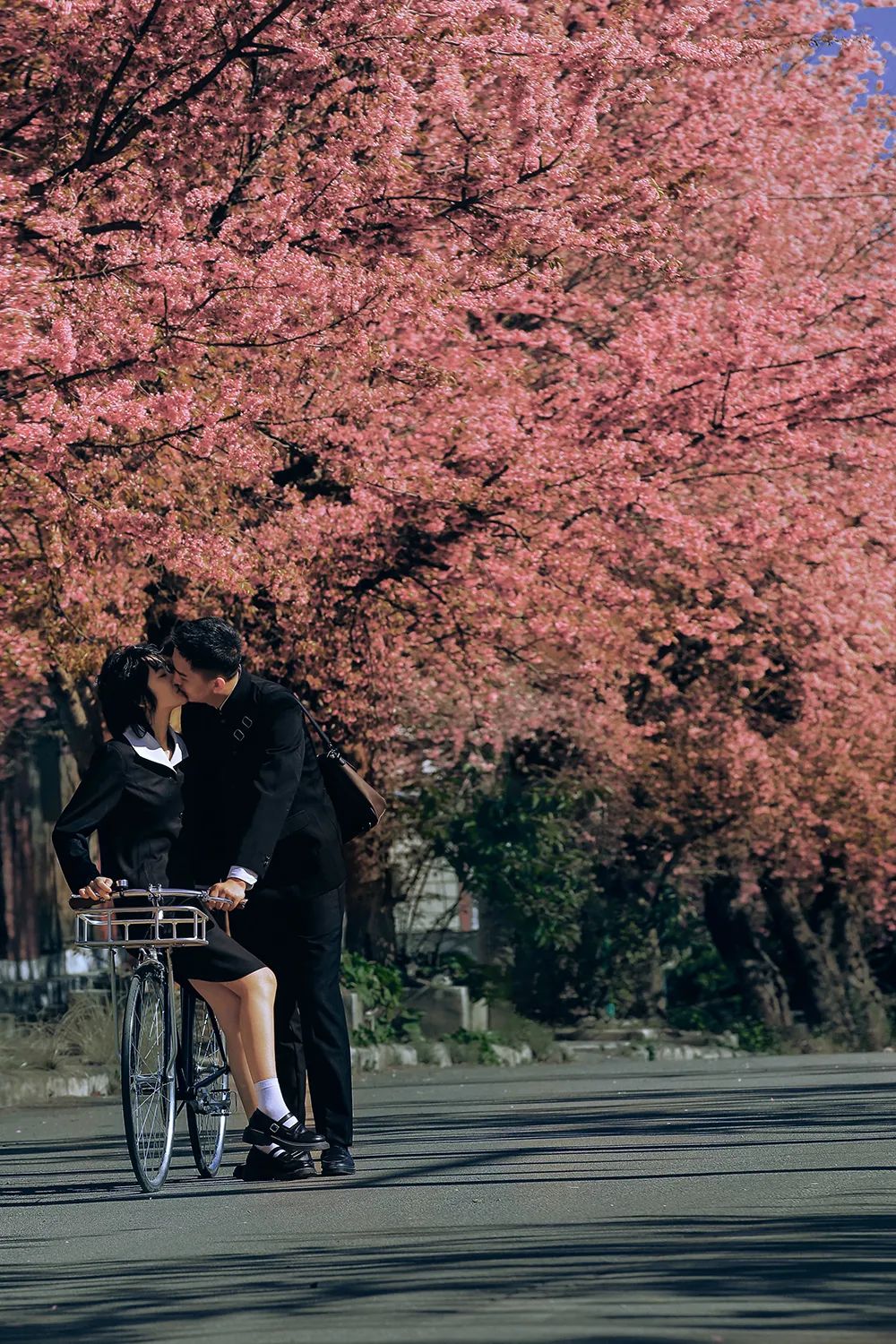 记录爱情的纯粹