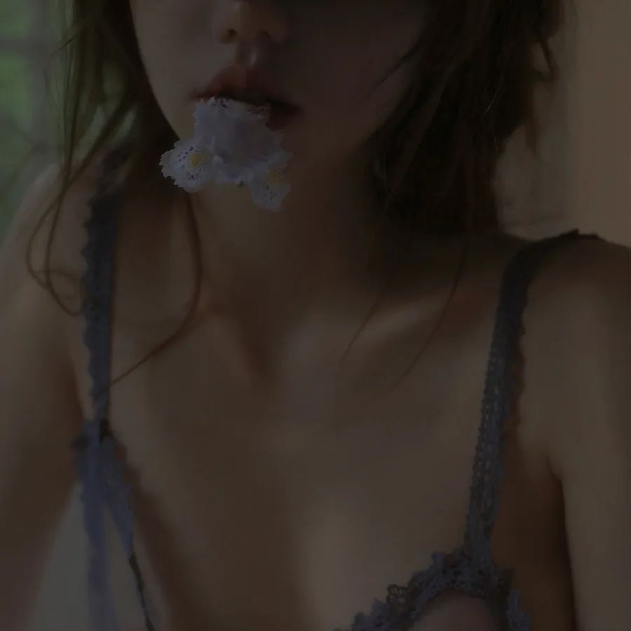 泅泳的小鲸