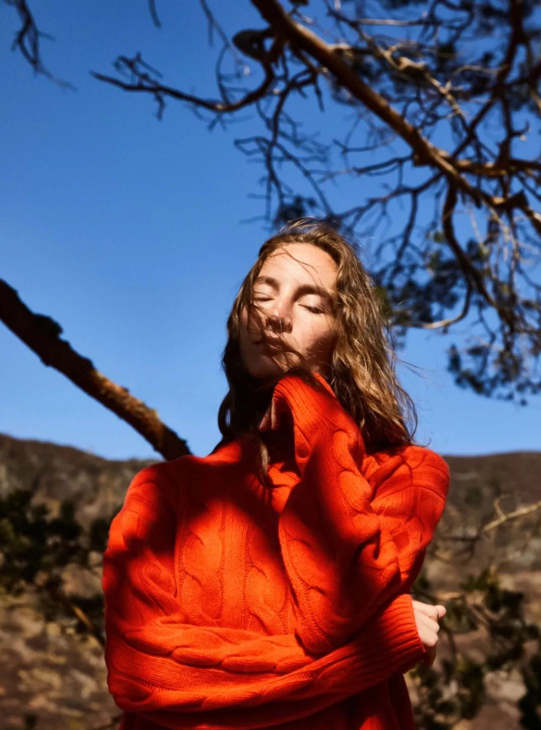 只要还有阳光，我不介意那寒风与凉意