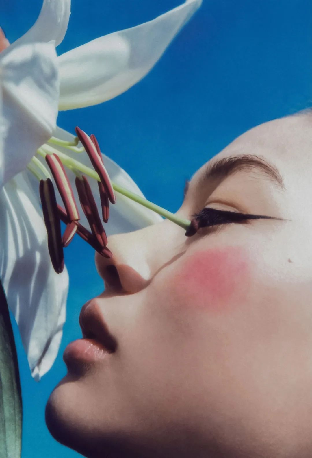 当东西方的旨趣交融时，美油然而生