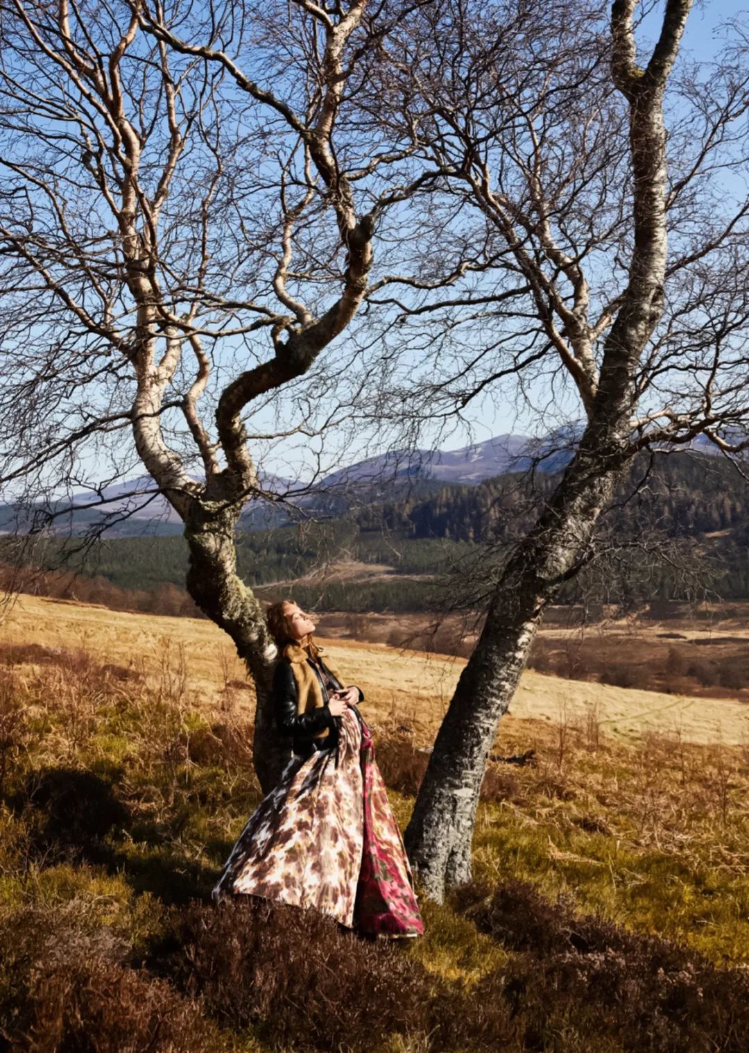 只要还有阳光，我不介意那寒风与凉意