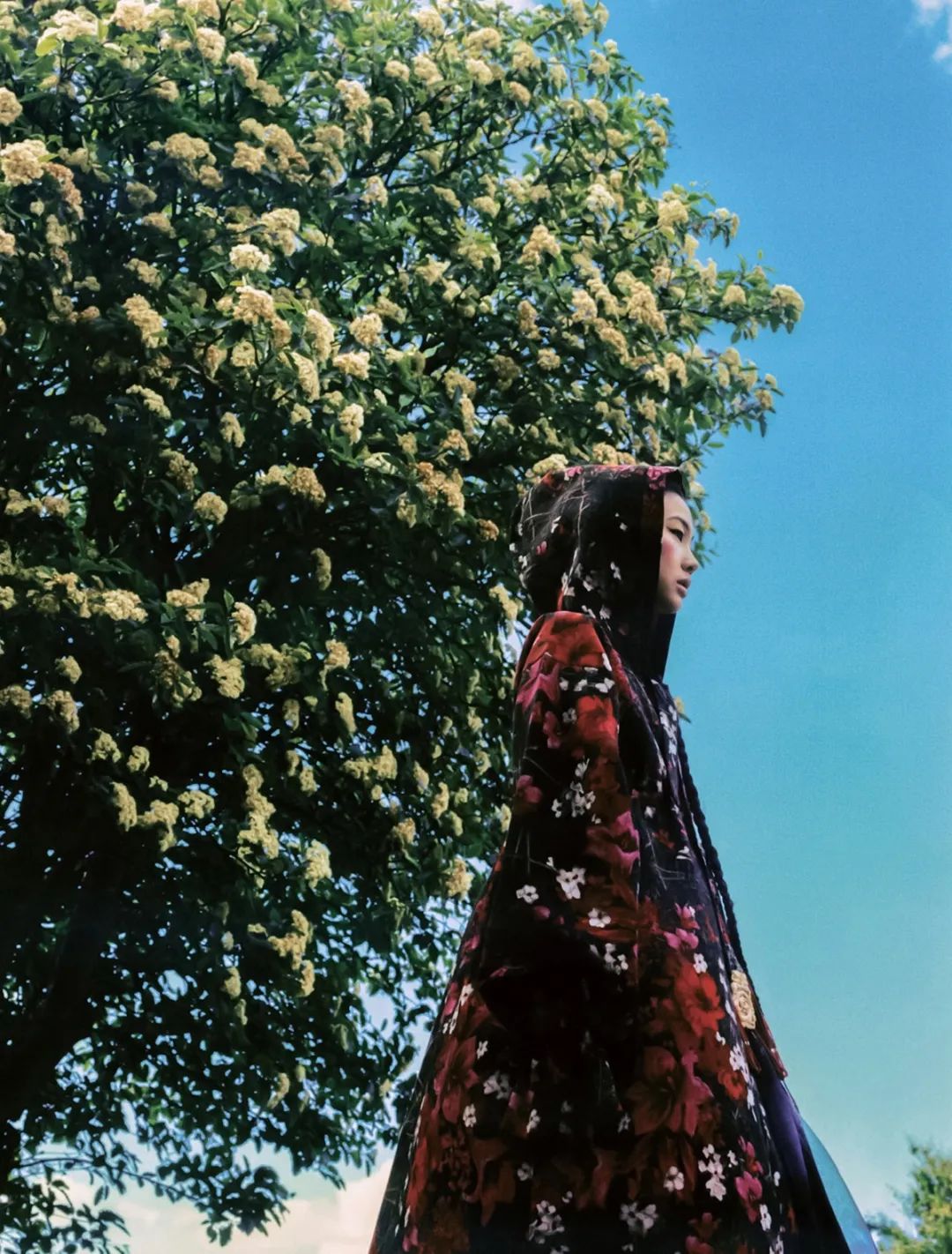 当东西方的旨趣交融时，美油然而生