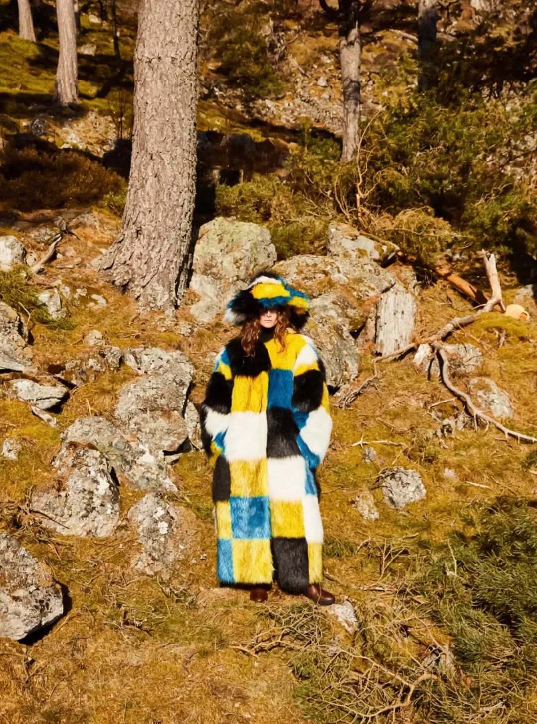 只要还有阳光，我不介意那寒风与凉意