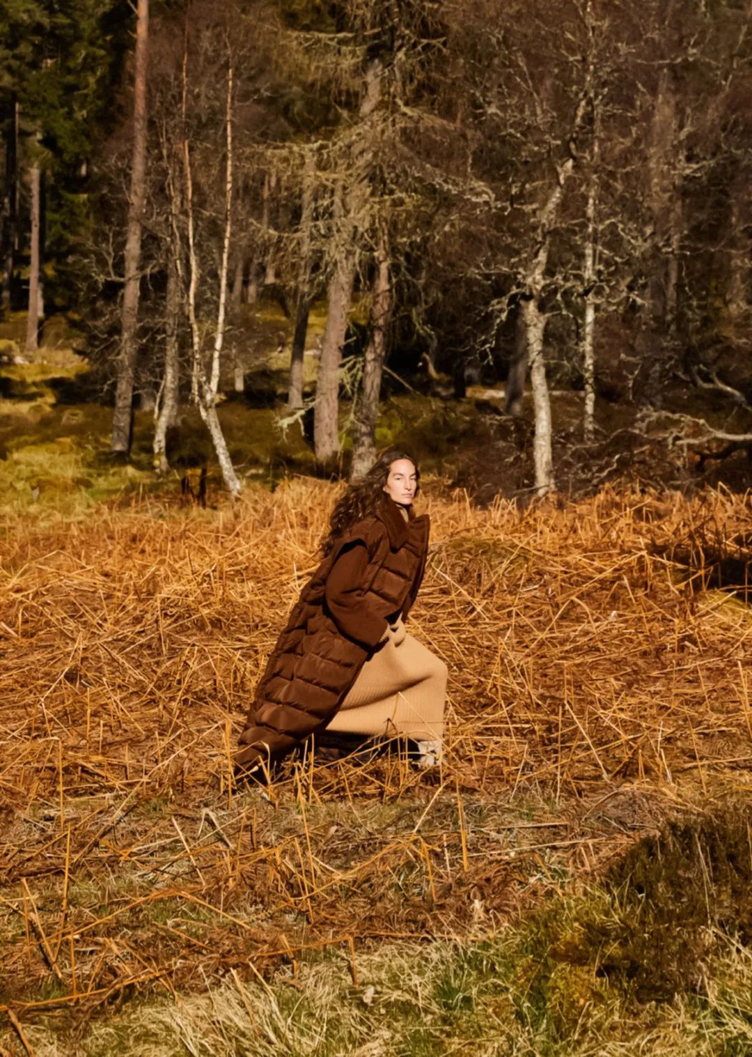 只要还有阳光，我不介意那寒风与凉意