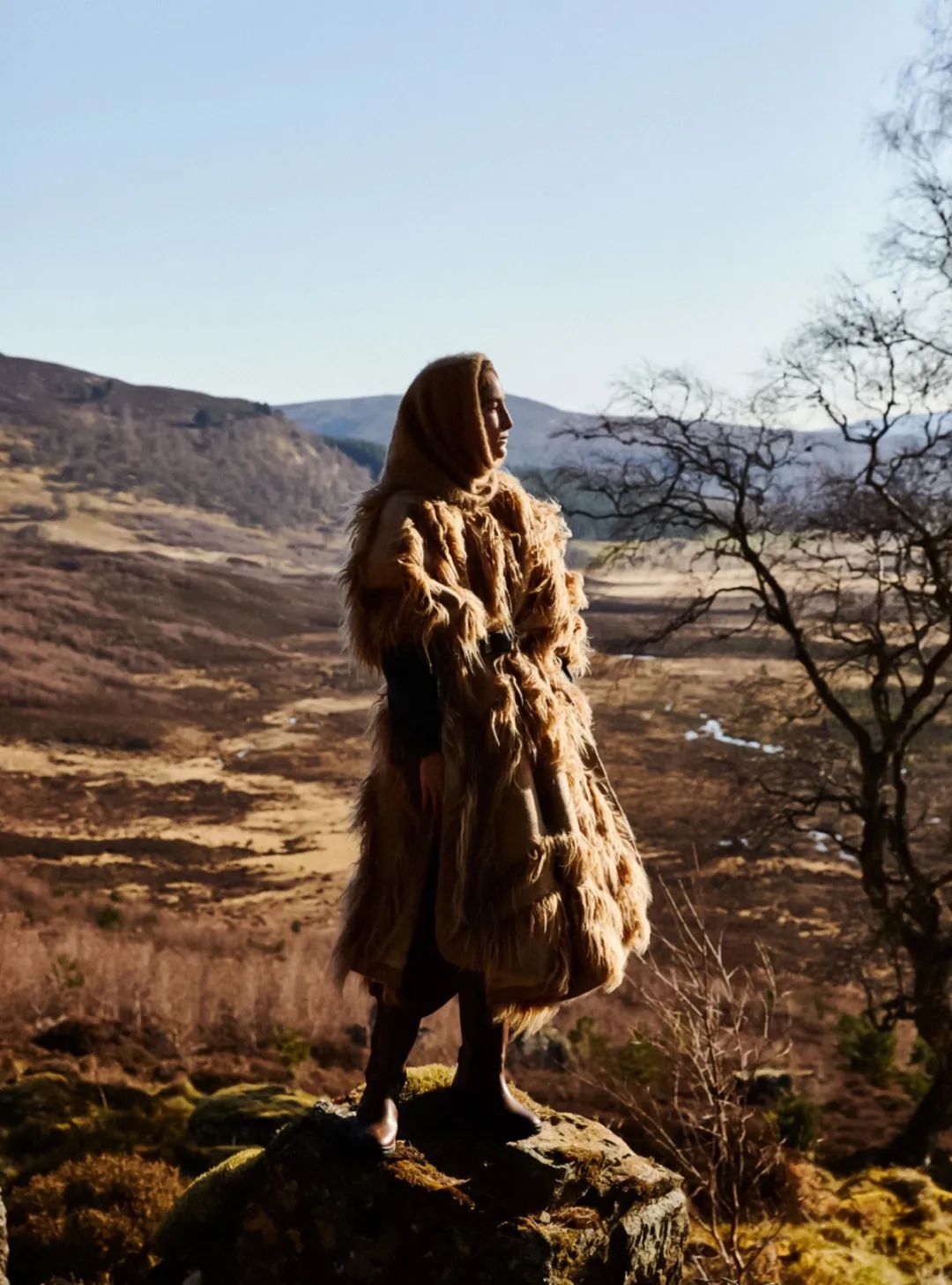 只要还有阳光，我不介意那寒风与凉意