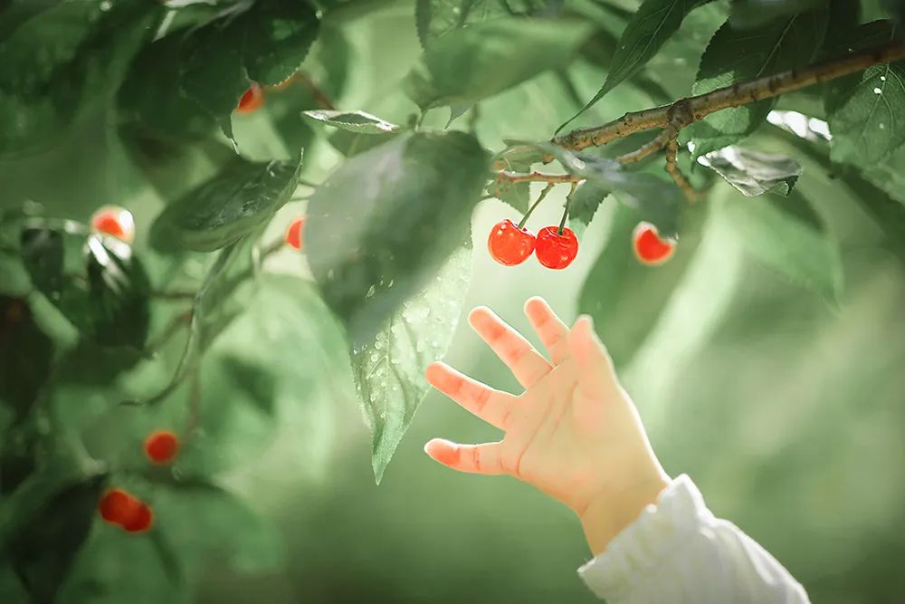 治愈系摄影配色，定格孩子们的春天