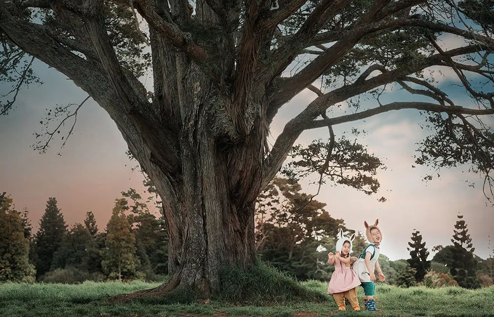 森系童话儿童摄影：此处有小动物出没