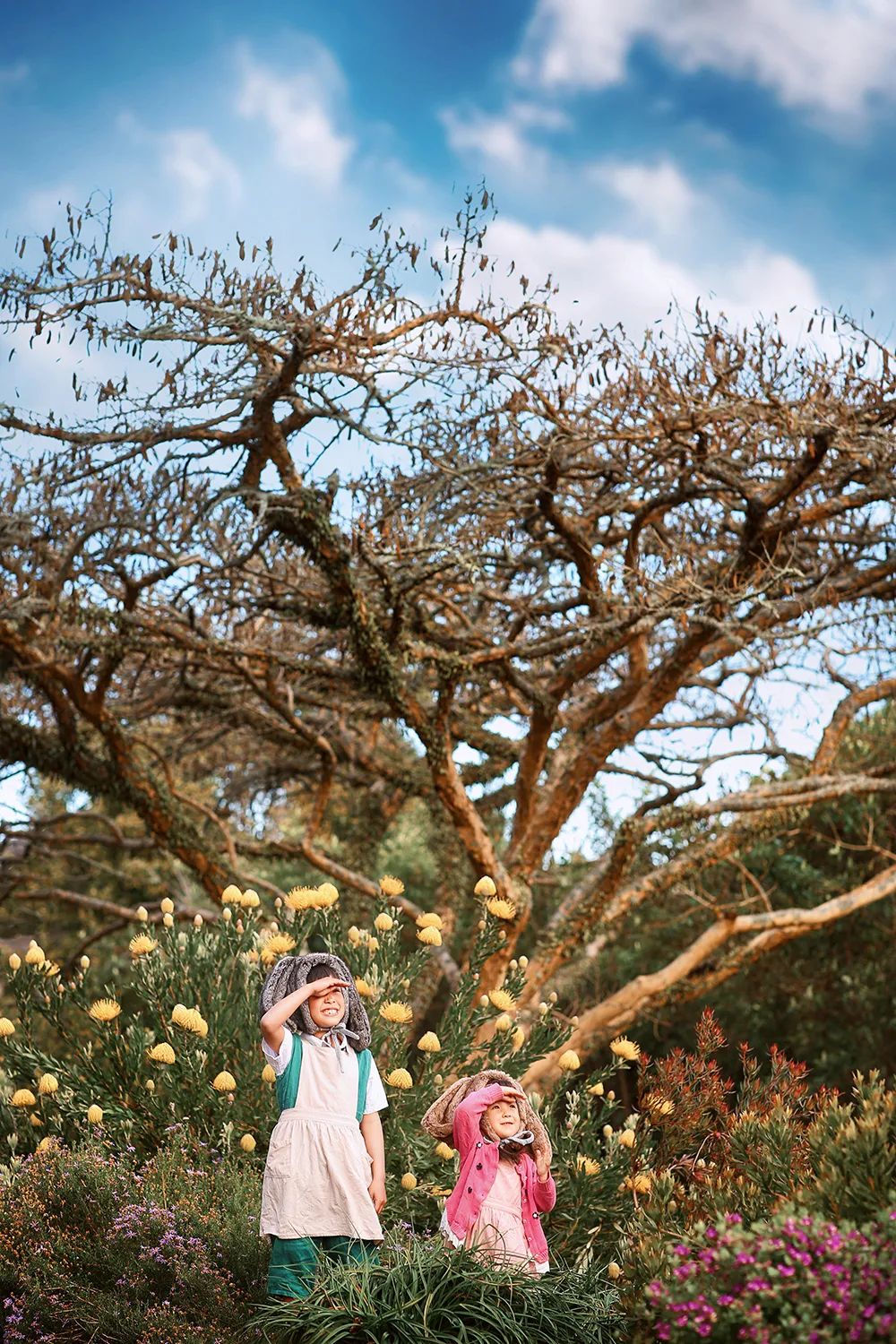 森系童话儿童摄影：此处有小动物出没