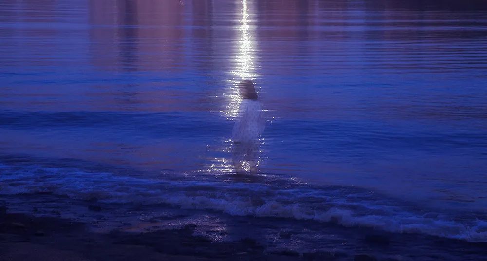 春夏秋冬，岁月绵长