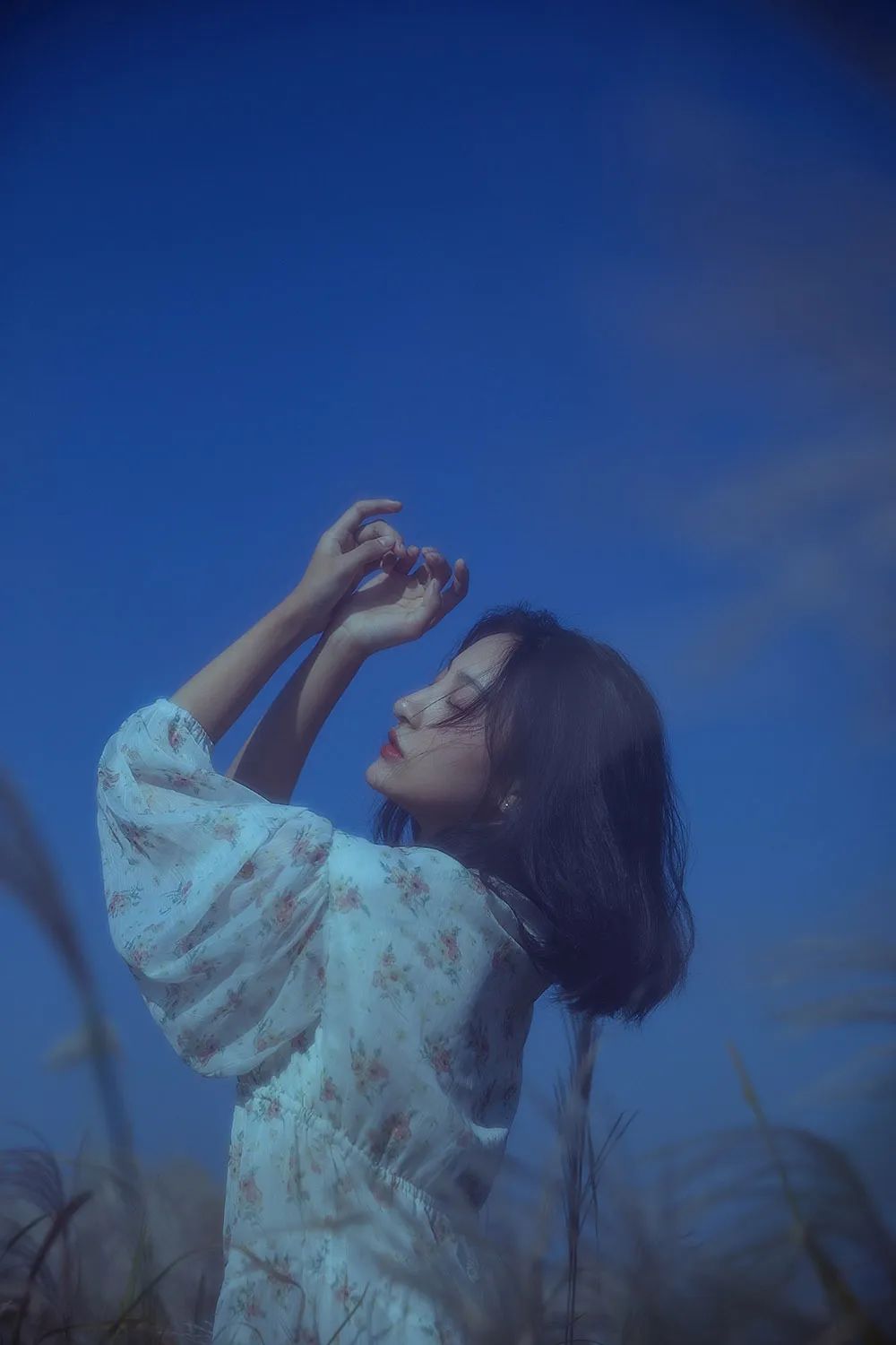 春夏秋冬，岁月绵长