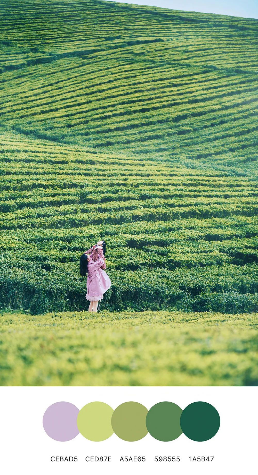 治愈系摄影配色，定格孩子们的春天