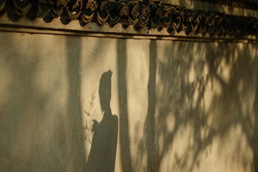 寻一方谧境 - 在苏园里风雅拍照，是一种什么体验？