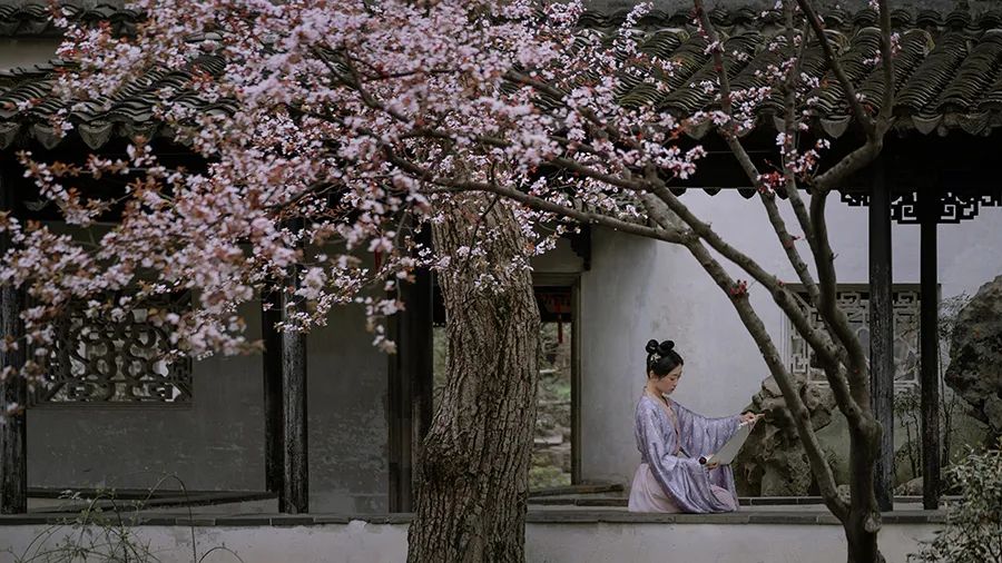 寻一方谧境 - 在苏园里风雅拍照，是一种什么体验？