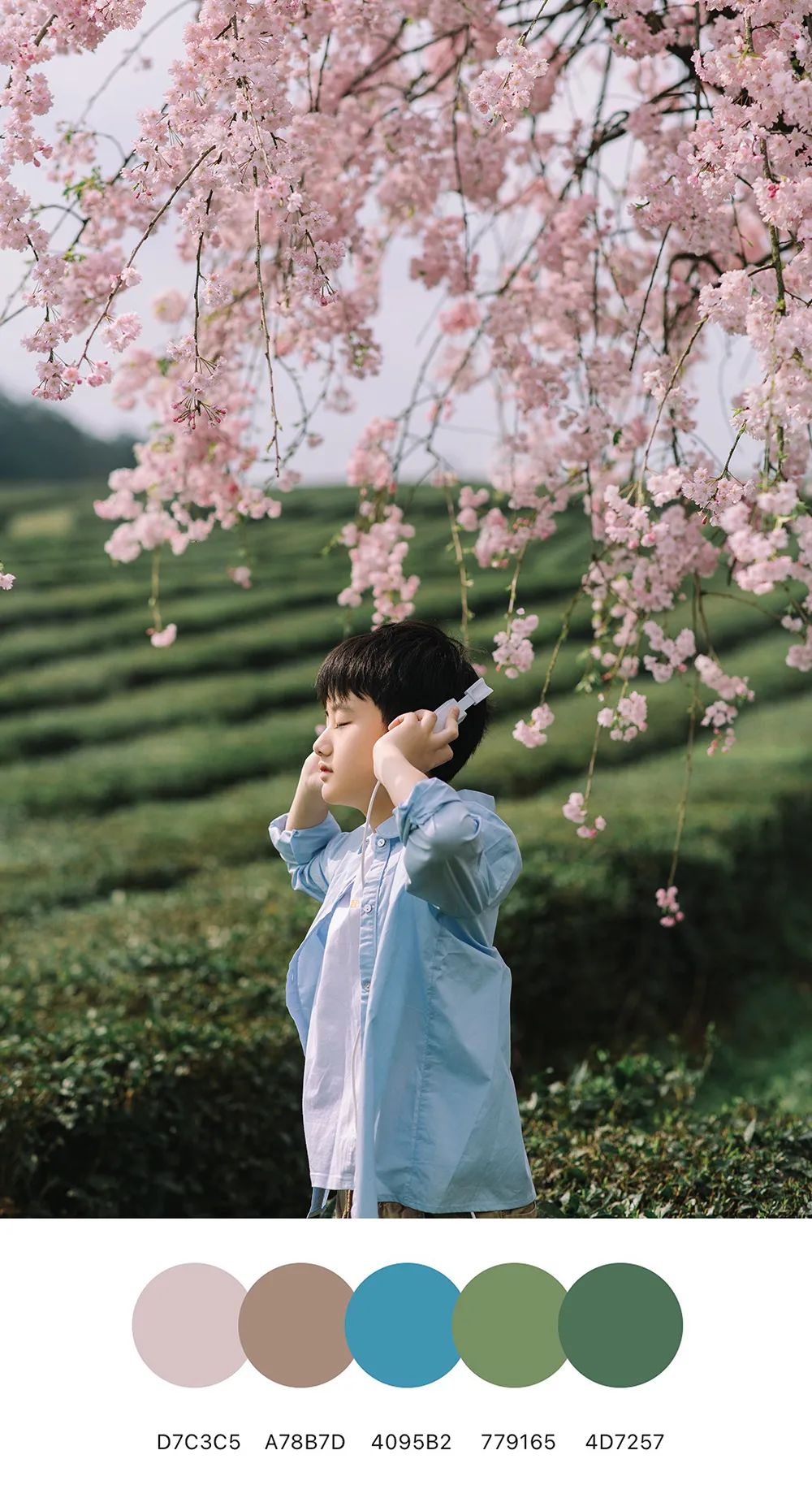 治愈系摄影配色，定格孩子们的春天
