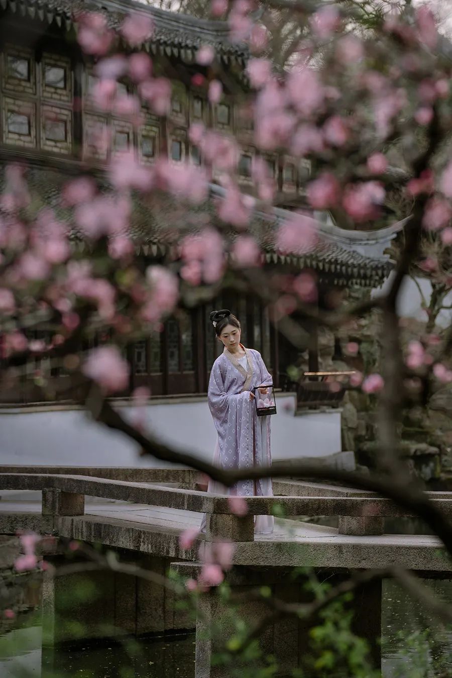 寻一方谧境 - 在苏园里风雅拍照，是一种什么体验？