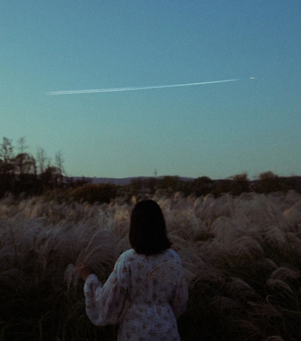 春夏秋冬，岁月绵长