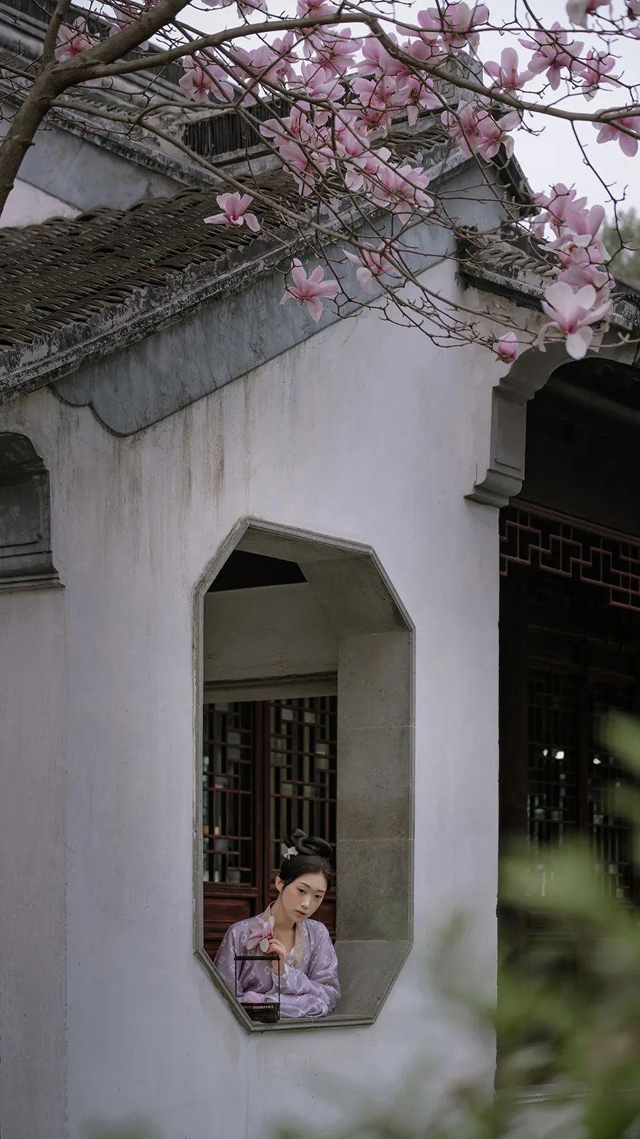 寻一方谧境 - 在苏园里风雅拍照，是一种什么体验？