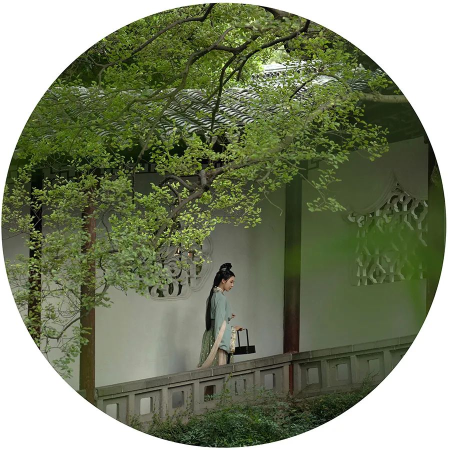 寻一方谧境 - 在苏园里风雅拍照，是一种什么体验？