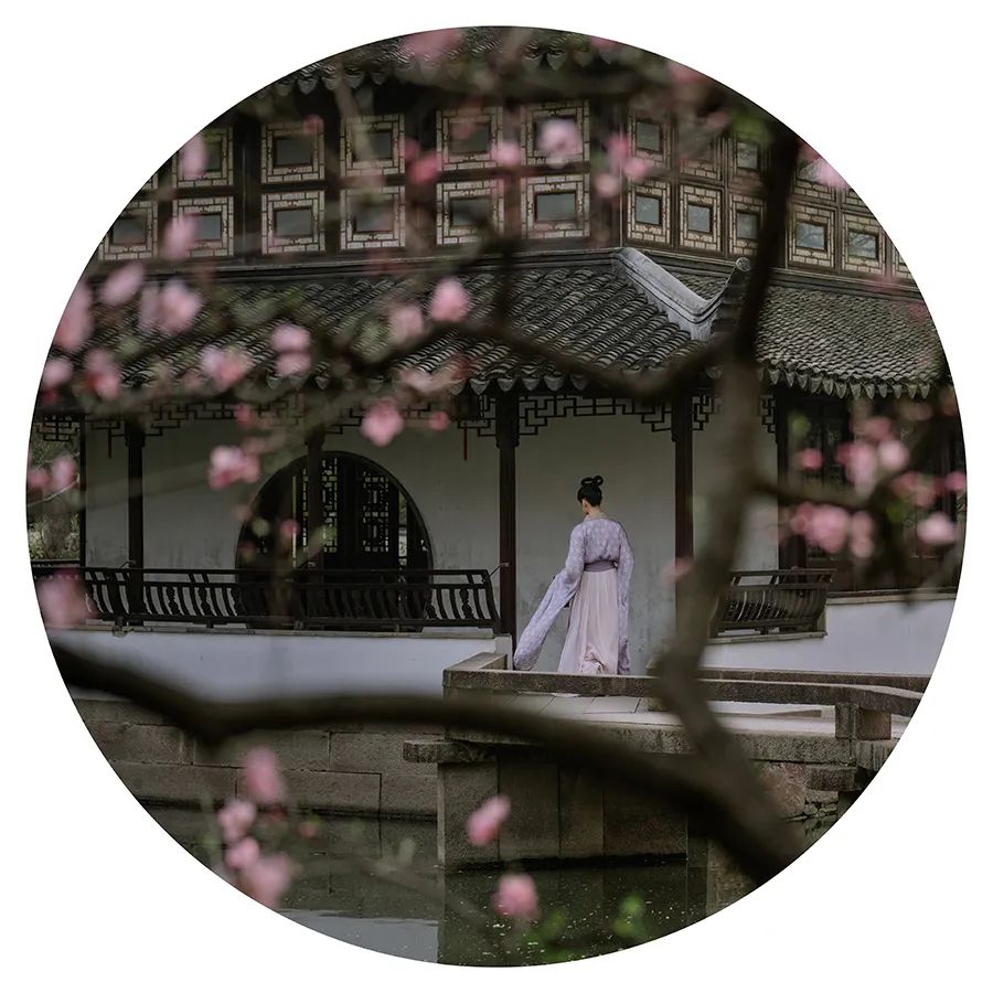 寻一方谧境 - 在苏园里风雅拍照，是一种什么体验？