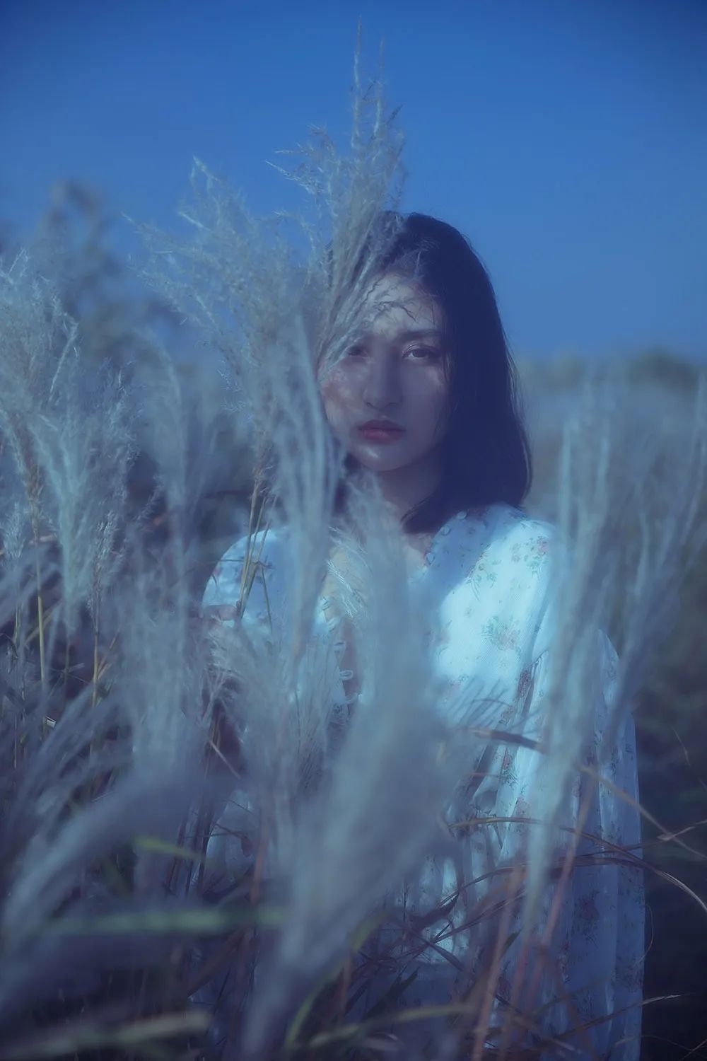 春夏秋冬，岁月绵长