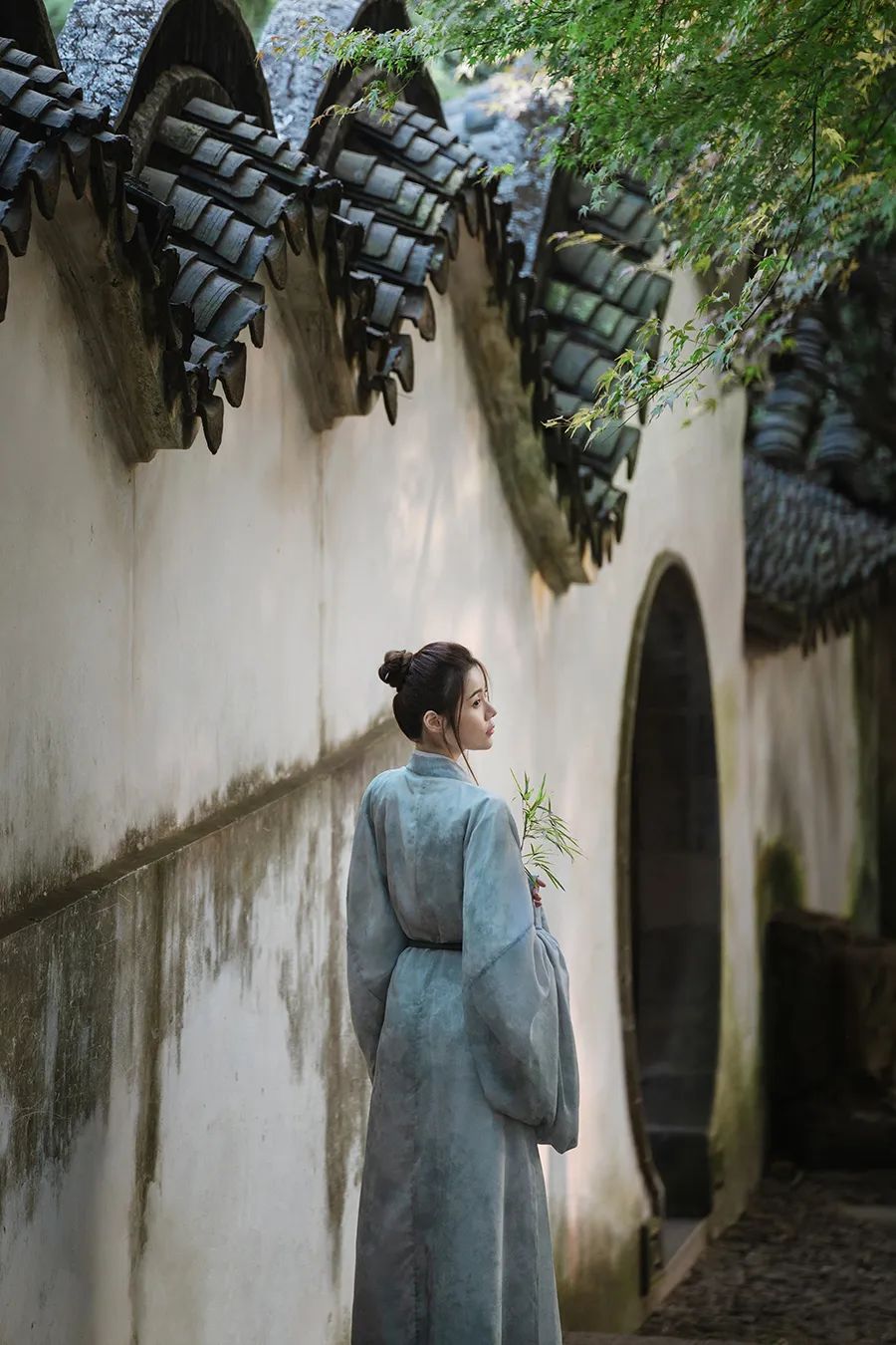 寻一方谧境 - 在苏园里风雅拍照，是一种什么体验？