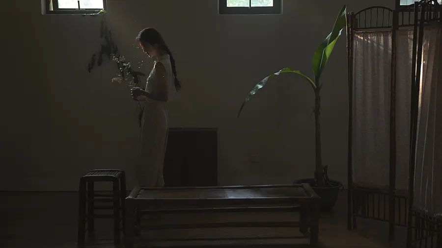 微光洒落  无关风月