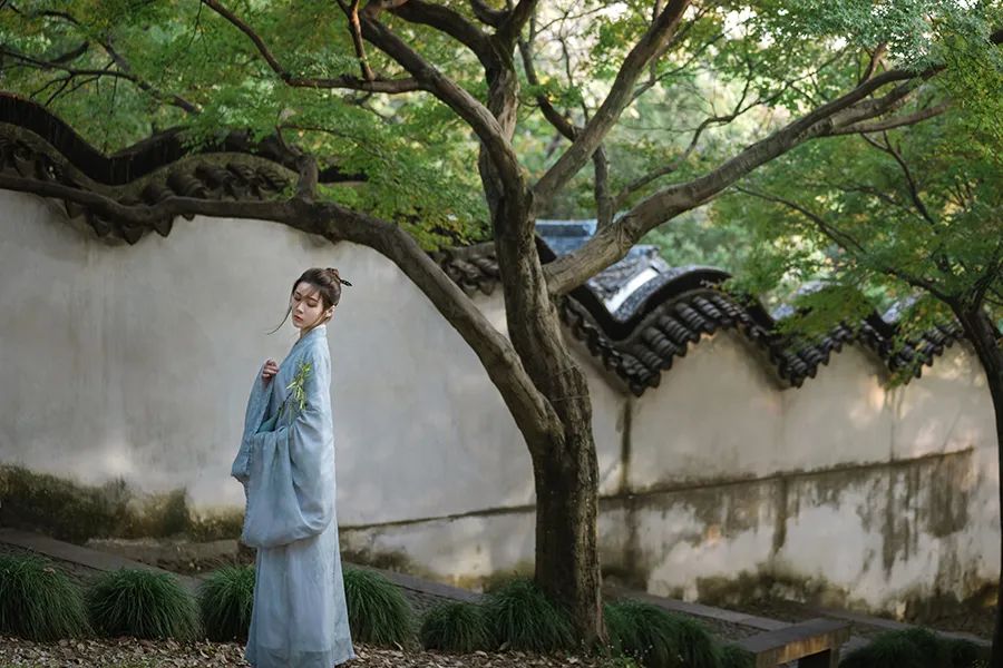 寻一方谧境 - 在苏园里风雅拍照，是一种什么体验？