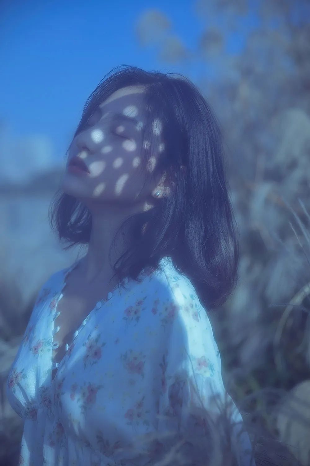 春夏秋冬，岁月绵长