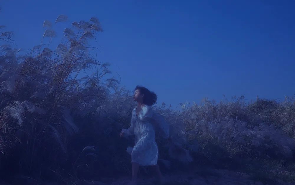 春夏秋冬，岁月绵长