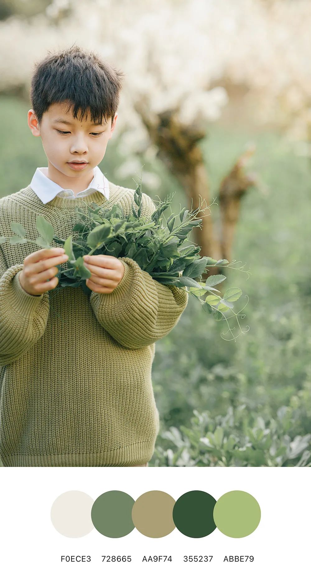 治愈系摄影配色，定格孩子们的春天