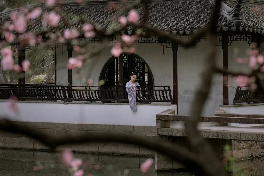 寻一方谧境 - 在苏园里风雅拍照，是一种什么体验？