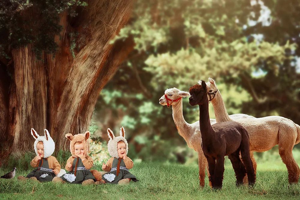 森系童话儿童摄影：此处有小动物出没